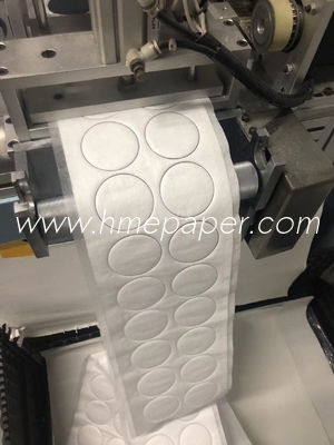 99.99% Effective Electrostatic Filter Paper BV Filter Membrane Factory