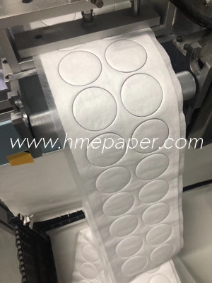 kopen Papier Bacteriële Virusfilter Maximale werkdruk 30 bar Sterilisatiedruk 2 bar 3 mm online manufacture
