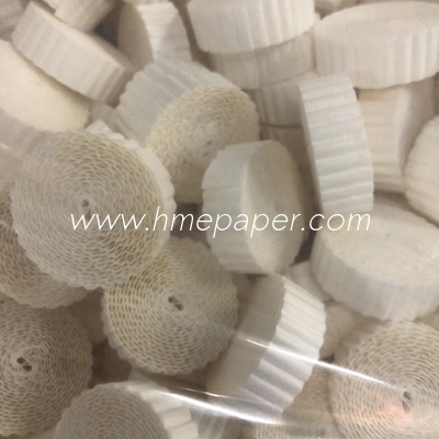 kopen Circulair Bacterieel Viral Filterpapier met 15 bar Maximale Drukdruppel 30 l/min Stroom online manufacture