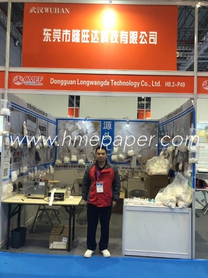 99.99% Effective Electrostatic Filter Paper BV Filter Membrane Factory